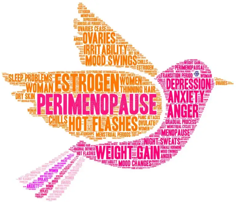 Perimenopause