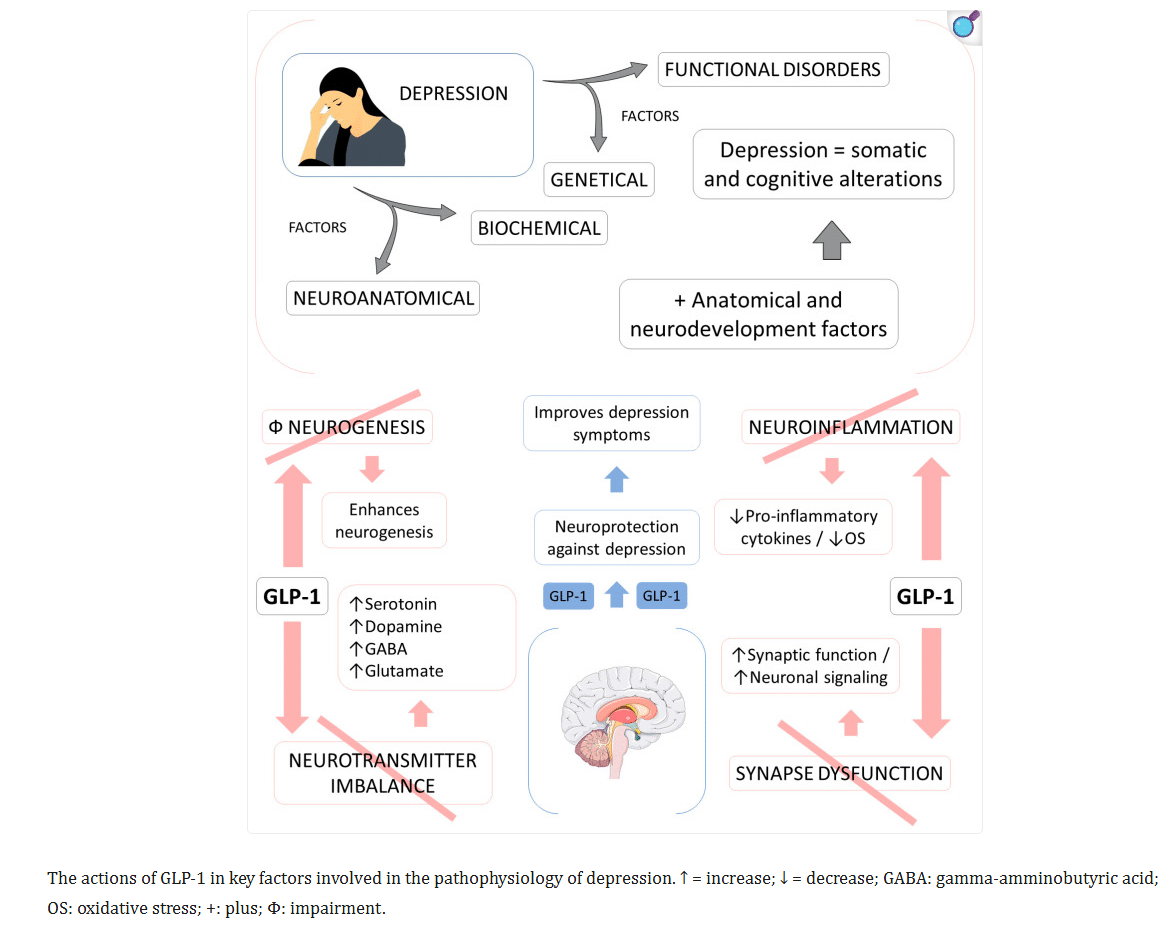 GLP-1 agonists in depression and mood disorders