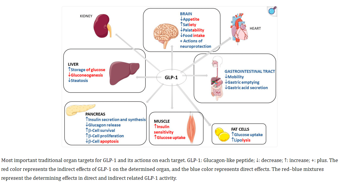 GLP-1 microdosing