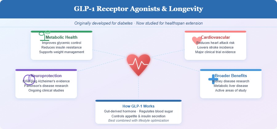 GLP-1 receptor agonists and longevity
